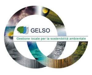 gelso