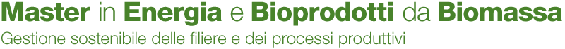 masterbioenergia-logo